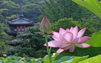 Gánh nặng cuộc đời